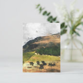 Carte Postale District de Peak (Debout devant)