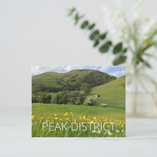 Carte Postale District de Peak (Debout devant)