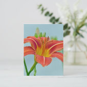 Carte Postale Ditch Lily (Debout devant)