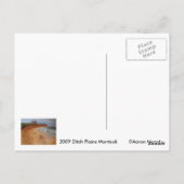 Carte Postale Ditch Plains Montauk (Dos)