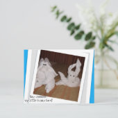 Carte Postale Dites Cheeeseee mon petit visage drôle ! (Debout devant)