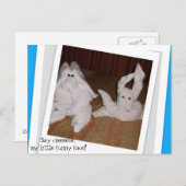 Carte Postale Dites Cheeeseee mon petit visage drôle ! (Devant / Derrière)