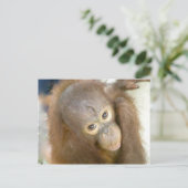 Carte Postale Dites non à la cruauté (Debout devant)