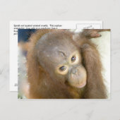 Carte Postale Dites non à la cruauté (Devant / Derrière)