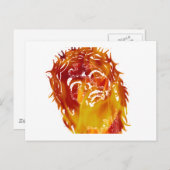 Carte Postale Dites non à la stupidité et à l'ignorance. (Devant / Derrière)