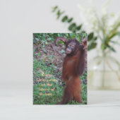 Carte Postale Dites non aux brutes avec Krista orangutan (Debout devant)