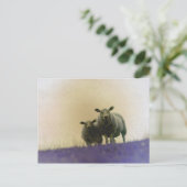 Carte Postale Dithmarschen (Debout devant)