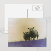 Carte Postale Dithmarschen (Devant / Derrière)