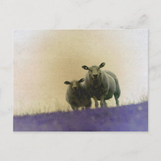 Carte Postale Dithmarschen