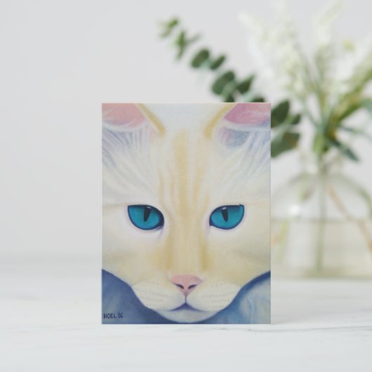 Carte postale Ditto (Debout devant)