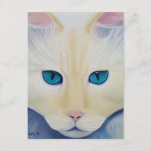 Carte postale Ditto
