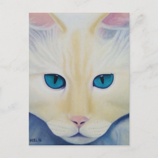 Carte postale Ditto (Devant)