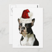 Carte Postale Ditzy Dogs~Carte Postale Originale~Boston Terrier (Devant / Derrière)
