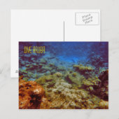 Carte postale Dive Aruba (Devant / Derrière)