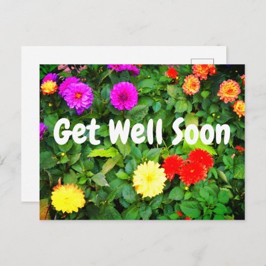 Carte postale Divers Dahlias #1 Prompt rétablissem (Devant / Derrière)