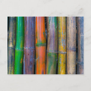 Carte Postale Divers - Motif de bambou chromatique