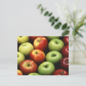 Carte Postale Divers types de pommes (Debout devant)