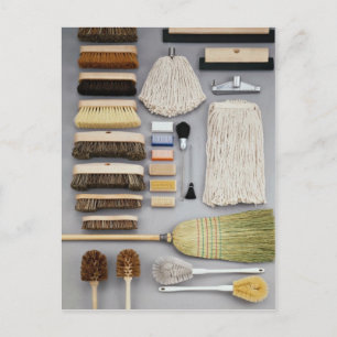 Carte Postale Diverses têtes de brosse et serpillères