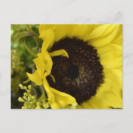 Carte postale divine (Devant)