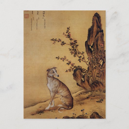 Carte Postale Dix Chiens primés - Banjinbiao (lévriers chinois) (Devant)