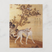 Carte Postale Dix Chiens primés - Cangshuiqiu(lévrier chinois) (Devant)
