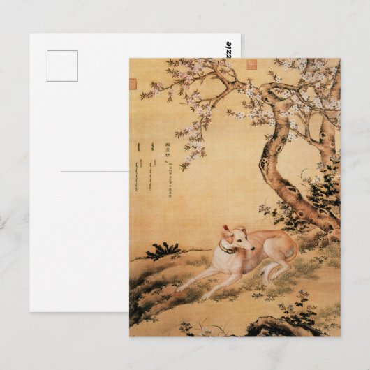 Carte Postale Dix Chiens primés - Loup Shanxing (lévriers chinoi (Devant / Derrière)