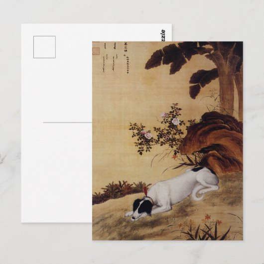 Carte Postale Dix Chiens primés - Mukongque (lévriers chinois) (Devant / Derrière)