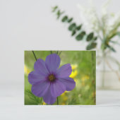 Carte postale DIY de fleur de Cosmea violette (Debout devant)