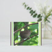 Carte postale DIY de Troglodyte chantant Mignon (Debout devant)