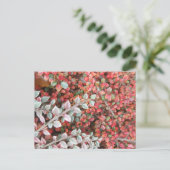 Carte postale DIY Feuilles Rouges et Vertes (Debout devant)