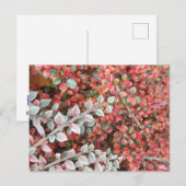 Carte postale DIY Feuilles Rouges et Vertes (Devant / Derrière)