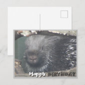 Carte postale DIY Joyeux Anniversaire avec un visa (Devant / Derrière)