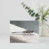 Carte postale DIY Libellule bleue (Debout devant)