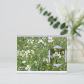 Carte postale DIY Mayflowers (Debout devant)