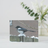Carte postale DIY Pie dans la neige (Debout devant)