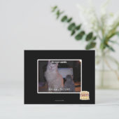 Carte Postale diz mai squidz (Debout devant)