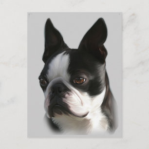 Carte Postale DJ the Boston