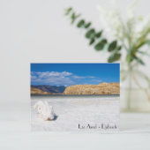 Carte postale Djibouti (Debout devant)