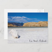 Carte postale Djibouti (Devant / Derrière)