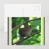 Carte postale do-it-yourself chantée mignonne (Devant / Derrière)