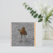 Carte postale do-it-yourself Cute Robin (Debout devant)