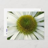 Carte postale do-it-yourself Fleur blanche (Devant / Derrière)