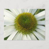 Carte postale do-it-yourself Fleur blanche (Devant)