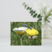 Carte postale do-it-yourself Fleur sauvage blanc e (Debout devant)