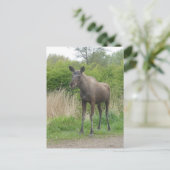 Carte postale do-it-yourself mignonne (Debout devant)