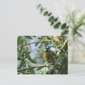 Carte postale do-it-yourself Oiseau coloré (Debout devant)