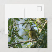 Carte postale do-it-yourself Oiseau coloré (Devant / Derrière)