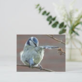 Carte postale do-it-yourself petit oiseau (Debout devant)