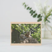 Carte postale do-it-yourself tigre pour bébé migno (Debout devant)