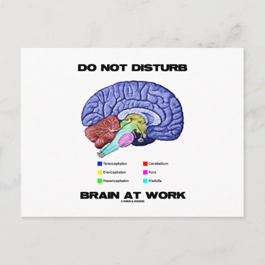 Carte Postale Do Not Disturb Brain At Work (Devant)